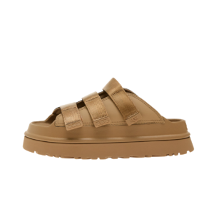 חשיפת האמת מאחורי מאיירס ביקורות ומאיירס חוות דעת: תובנה מקיפה